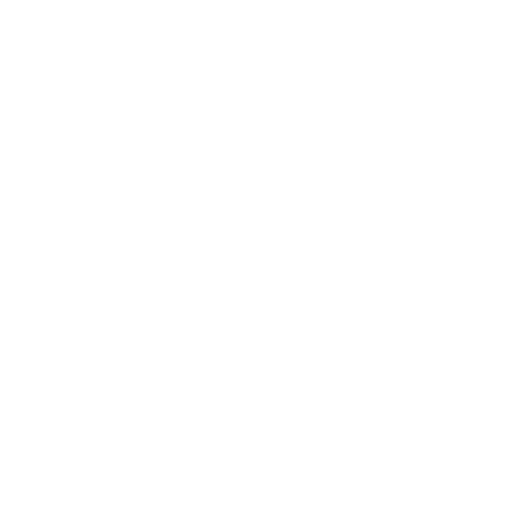 Steam